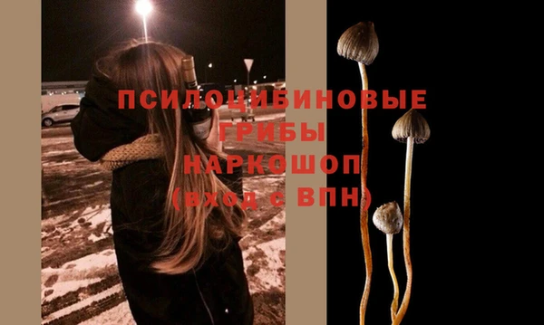крисы Балабаново