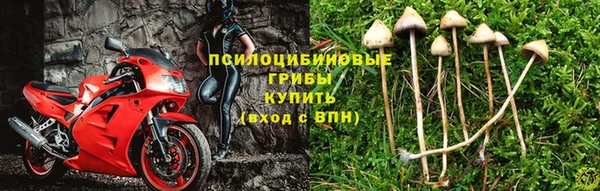 скорость Баксан