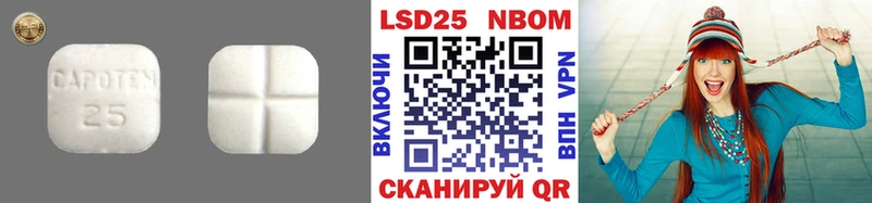 сколько стоит  Борзя  блэк спрут   LSD-25 экстази кислота 